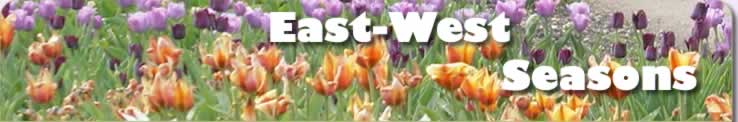 East-West Seasons